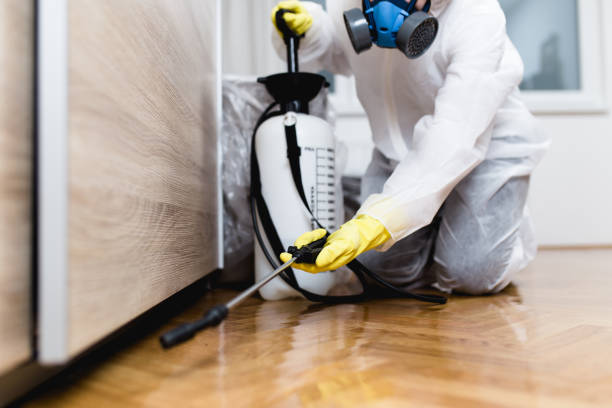 Best Pest Control for Homes  in Hempstead, TX
