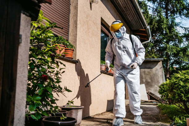Best Affordable Pest Control Services  in Hempstead, TX