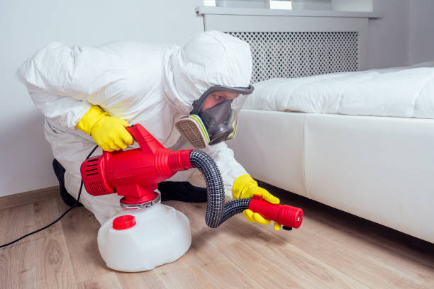 Best Residential Pest Control  in Hempstead, TX