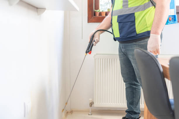 Best Mosquito Control Services  in Hempstead, TX