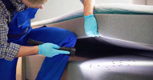 Best Pest Prevention Services  in Hempstead, TX