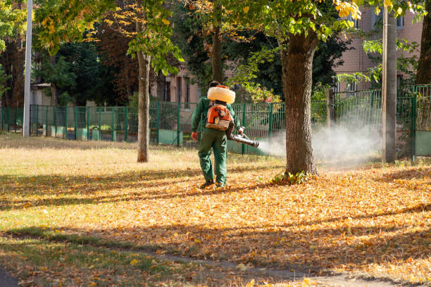 Best Insect Control  in Hempstead, TX